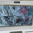 멍헤어 애견미용실 이미지