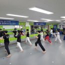 T.S 한국체대 한일태권도장 네이버블로그