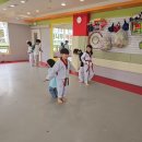 용인대 꿈나무태권도장 이미지