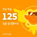 지앤바이 | 일상기록 : 불효자통 게이지를 뜨면 뭐하니