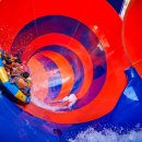 혜자월드 이미지