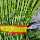 열무 김치류 주문하세요.. 이미지