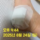 오름직한동산 | 슬로우랩 빼독패치 사용후기, 피로 회복 선물, 올리브영 입점, 빼독패치 효과는?