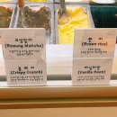 코코&꿀돼지 이미지