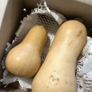 양자농장 이미지