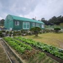 부동산21공인중개사사무소 이미지