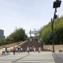 산오름민박 | 봄,푸르른 담양여행 : 2.사각사각 속삭이는 대나무 숲길