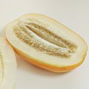 품위와 여유를 갖는 문인화 | 경북 예천 참외, 조선 후기 양반가 정원에서 자란 여름 과일의 품격