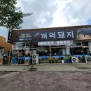 고씨네꺼먹돼지