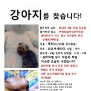 부평농업협동조합하나로마트