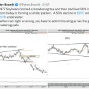 피터 브랜트 “비트코인, 1977년 대두와 유사한 패턴…50% 하락 가능성” 이미지