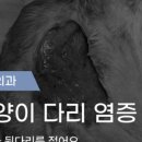 나의 동물메디컬 센터 이미지