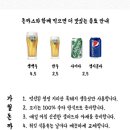 가월돈까스 | 창원 중앙역 근처 돈까스 맛집 내돈내산 후기![가월돈까스]