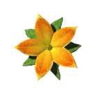 원룸식민박 이미지