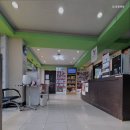 김 S 동물병원 | 일산동물병원 김s동물병원 선택 기준과 확인 포인트