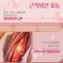 성정가구