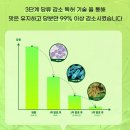 한줄한컵 | [큐피셜/웰니스] 🥗 샐러드 대신 간편하게! 메디슨벨 샐러디 컵 한 입 샐러드 젤리 추천/후기