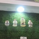 하랑바이오 이미지