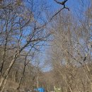 강천산(대구) | 순창 회문산 광활한 산풍경에 감탄하며 스릴 넘치는 산행을 가다,,!!