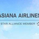 스타일주 | 아시아나 항공 마일리지 적립 사용 예약 스타얼라이언스예약 후기실사용꿀팁 총정리