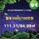 왕의공인중개사사무소 이미지