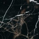 시간을 즐기다 이미지