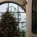 오마이구미 이미지