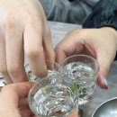 강릉 현지인맛집 추천, 가오리찜 맛집 원인숙 고성생선찜 내돈내산 후기