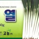 한농종묘사 네이버블로그