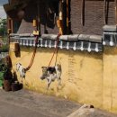 WE Q클럽 이미지