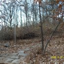 구봉산 근린공원 이미지