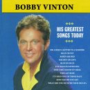 Bobby Vinton - Mr. Lonely (Letter To A Soldier) 이미지