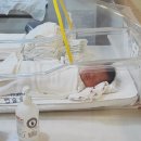 베네라산후조리원 이미지