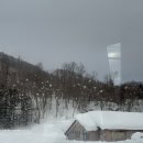 오건 | 일본 삿포로 4박 5일 여행☃️☃️ 4DAY 일정 [비에이 투어-흰 그림자 투어 내돈내산 솔직후기]