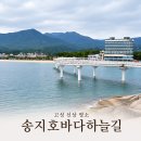고성군동외지구공영주차장 | 고성 가볼 만한 곳 찾는다면? 송지호바다하늘길 고성 스카이워크 후기