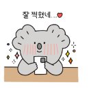 로라폴댄스 네이버블로그