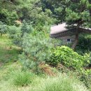 호수로 24번길 이미지