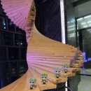 정선인투라온호텔 이미지