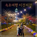 청초호유원지(중앙) 이미지