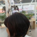 다옴헤어 이미지