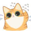 이솔어린이집 이미지