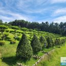 안식목장 이미지