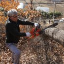 조현주유소 이미지