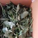 부지깽이 이미지