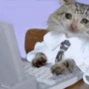 유람선회관 이미지