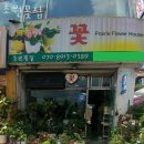 초원꽃집 이미지