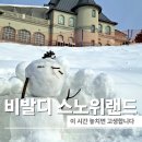 랜드파크 | 홍천 비발디파크 스노위랜드 후기 오픈런 필수 대기시간 키제한 총정리