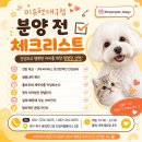 불독 | 김천프렌치불독분양 후기를 찾아보다가 결국 직접 다녀온 이야기