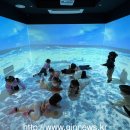 시립센트럴포레어린이집 이미지