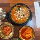 효심이네순대국 | 맛집] 비 오는 날 생각나는 뜨끈한 보양식, 더덕순대국 내돈내산 솔직후기 (feat. 호텔푸르미르웨딩)🌸